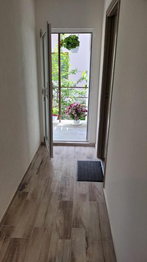 מלון סינאיה Casa Shiro מראה חיצוני תמונה