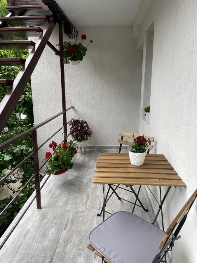 מלון סינאיה Casa Shiro מראה חיצוני תמונה